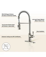 Casainc Single-Handle Spring Pull-Down Kitchen Faucet Single Hole 1.8 Gpm
