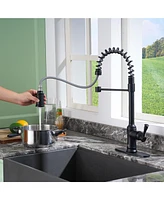 Casainc Single-Handle Spring Pull-Down Kitchen Faucet Single Hole Faucet 1.8 Gpm