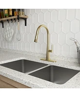 Casainc Pull Down Kitchen Faucet with Deck Plate