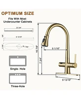 Casainc 1.8 Gpm Pull Down Kitchen Faucet with Deck Plate and Digital Display