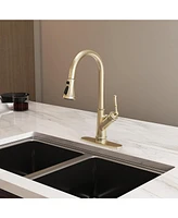 Casainc 1.8 Gpm Single-Handle Pull-Down Kitchen Faucet Single Hole