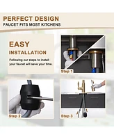 Casainc Single-Handle Pull-Down Kitchen Faucet Single Hole