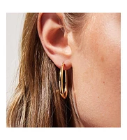 Ana Luisa Gold Hoop Earrings - Cuidado