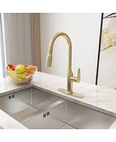 Casainc Single-Handle Pull-Down Kitchen Faucet Single Hole