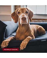 Night Mulberry Silk Dog Bed