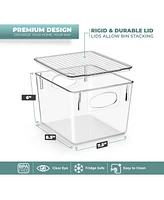 Sorbus 2 Pack Small Clear Storage Bins with Handles and Lids - for Kitchen, Cabinet Organizer, Pantry & Refrigerator