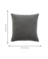 Ihi Home Stella Velvet Decorative Pillow ,20" x 20