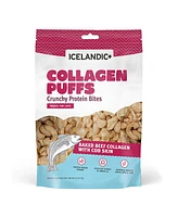 Icelandic+ Collagen Puffs: Beef With Cod - Cat Treat .5 oz