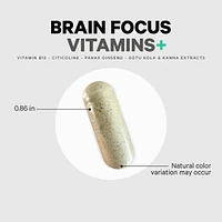 Codeage Brain Focus Vitamins+ Nootropic Supplement with Citicoline as Cognizin, Panax Ginseng, Resveratrol, Gotu Kola, Vitamin B12 Methylcobalamin