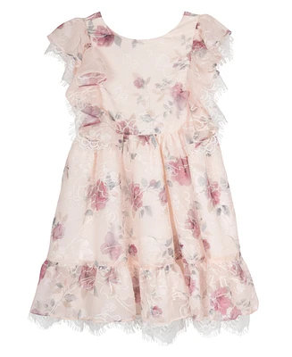 Rare Editions Little Girls Embroidered Chiffon with Lace Trim Dress