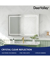 DeerValley 48'' W x 32'' H Led Lights Wall Mounted Medicine Cabinets With Mirrors And 2 Adjustable Shelves