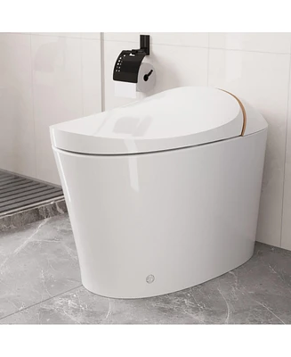 DeerValley Smart Bidet Elongated Toilet, Foot Kick Flush, Heated Seat, Instant Warm Water Wash, Advanced