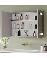 DeerValley Medicine Cabinets For Bathroom With Mirror, Wall Mounted Led Medicine Cabinet Organizer With Defogger, Dimmer, Bluetooth Speaker, Double Do