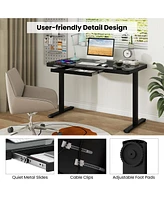 Gouun 48-Inch Height Adjustable Electric Standing Desk with Drawer