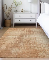 Addison Chantille ACN796 8'x10' Area Rug