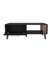 Lenoir Coffee Table, 1 Door, 1 Shelf, Black / Natural Oak