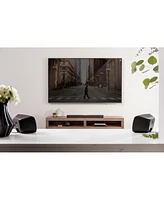 For Select Polk Sound Bars Wireless Surround Speakers