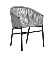vidaXL Patio Chairs 2 pcs Anthracite Pe Rattan