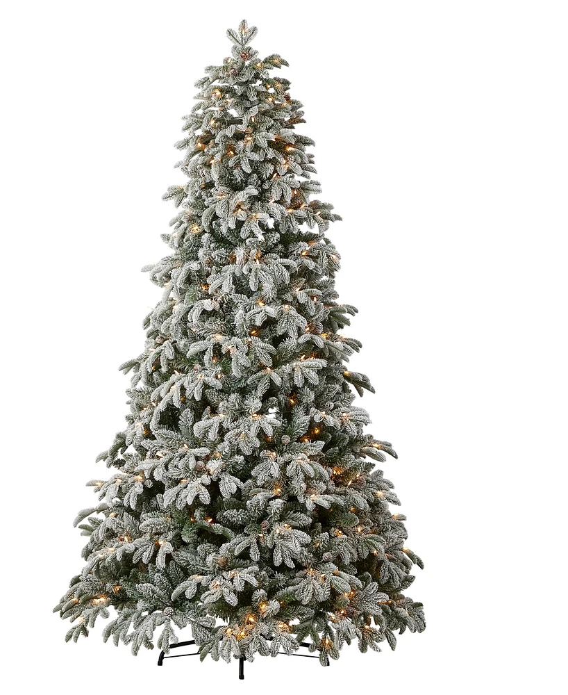 Seasonal 7.5ft Lexington Fir Lightly Dusted Tree, 500 Warm Led Lights