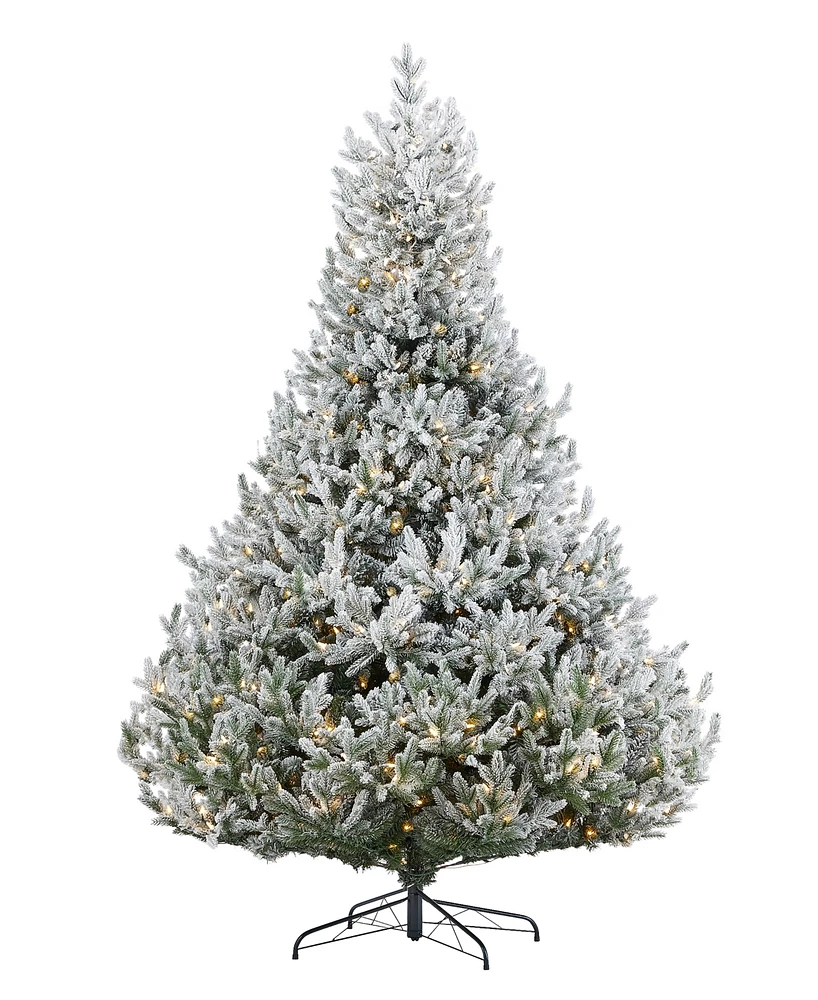 Seasonal 9ft Royal Oaks Flocked Fir Tree, 880 Warm Led Lights