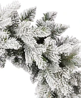 Seasonal 24" Shadow Woods Flocked Spruce Wreath, 30 Warm Led Lights