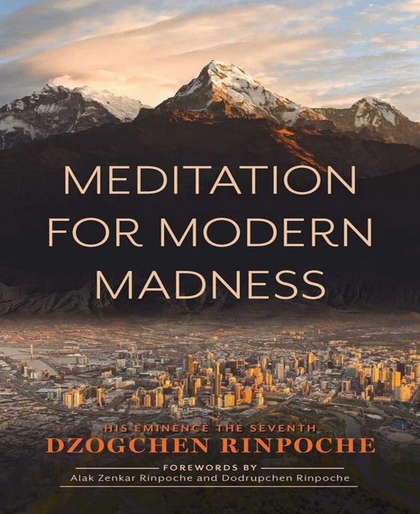 Barnes & Noble Meditation for Modern Madness by Dzogchen Rinpoche