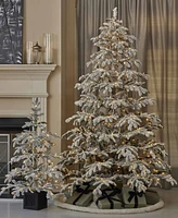 Seasonal 4ft Jackson Flocked Pine, 150 Warm Led Lights