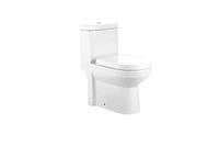 DeerValley Compact Toilet, Modern One-Piece Round Toilet with Dual Flush, Easy Cleaning Fully Skirted Design(Seat Included)