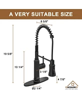 Casainc Pull Down Sprayer Kitchen Faucet with Infrared Sensor Induction Function and Deck Plate