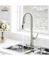 Casainc Spring Neck Standard Kitchen Faucet with Dual-Function spray head and Deck Plate