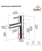 Casainc Single Hole Handle Bathroom Faucet