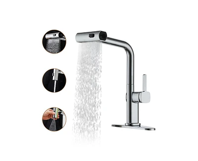 Casainc Single Handle Pull Out Kitchen Faucet