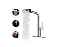 Casainc Single Handle Pull Out Kitchen Faucet