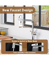 Casainc Single Handle Pull Out Kitchen Faucet