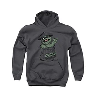 Sesame Street Boys Youth Early Grouch Pull Over Hoodie