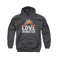 Sesame Street Boys Youth Love Monster Pull Over Hoodie