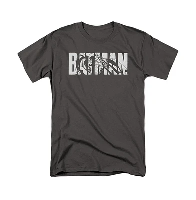 Batman Big & Tall Text On Gray Short Sleeve Adult Tee / T-Shirt