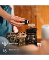 Pursonic Pet & Chill Essentials: Pet-Friendly Oils, Usb Diffuser & Car Vacuum