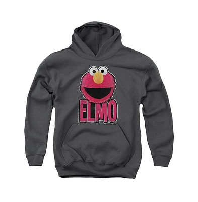 Sesame Street Boys Youth Elmo Smile Pull Over Hoodie