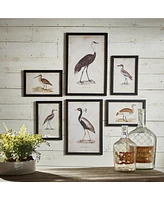 Napa Home & Garden Waterfowl Gallery, Set Of 6