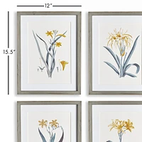 Daffodil Prints, Set Of 4