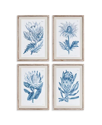 Napa Home & Garden Indigo Protea Prints St/4