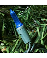 70-led Christmas Outdoor String Lights - M6 Smooth Style Bulbs 23-Foot Lighted Length Green