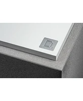 Definitive Technology Descend DN10 10" Subwoofer