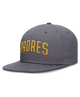 Nike Men's Gray San Diego Padres Performance True Fitted Hat