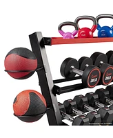 Sunny Health & Fitness All-In-One Weights Storage Rack Stand - Sf-XF920025