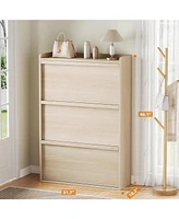 gaomon Shoe Cabinet with 3 Flip Drawers