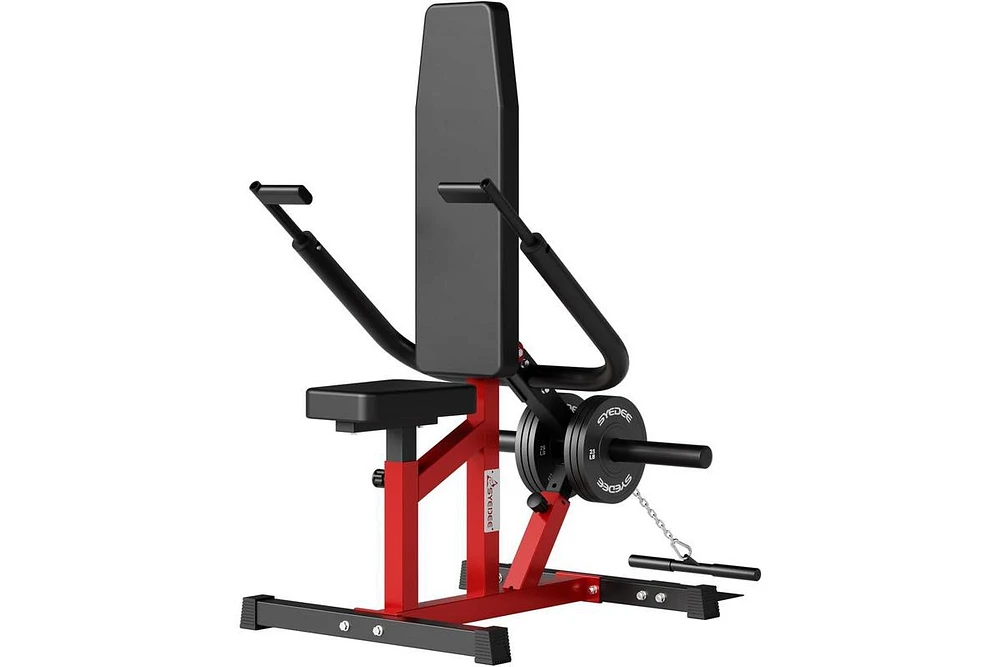 Er Kang Seated Dip Machine Plate Loaded- Tricep Dip Press Machine with Cable Bar for Biceps Chest Training, Hold up to 400LBS