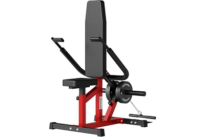 Er Kang Seated Dip Machine Plate Loaded- Tricep Dip Press Machine with Cable Bar for Biceps Chest Training, Hold up to 400LBS