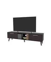 Fm Furniture Dragon Tv Stand with 2 Doors and Open Storage, Wengue
